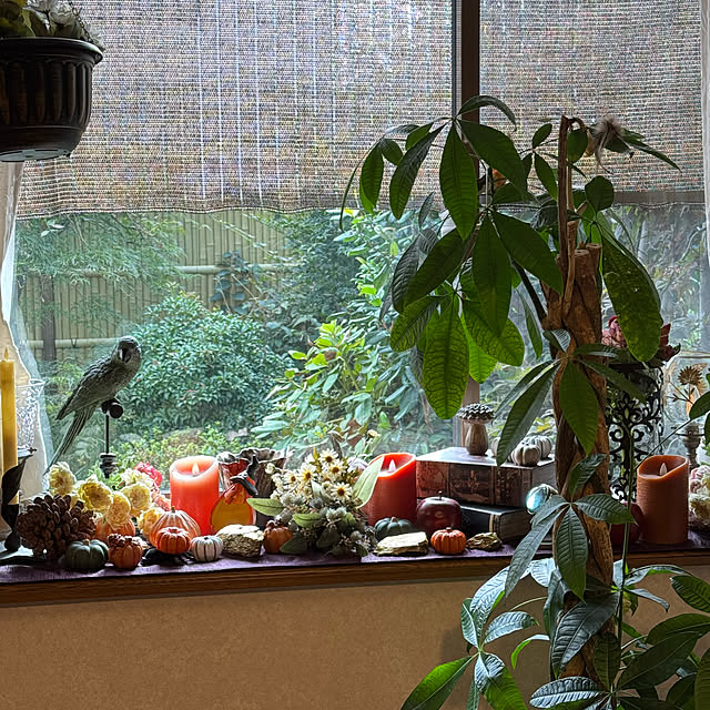 mamizaさんの部屋