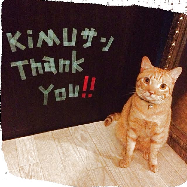 n-sanさんの実例写真
