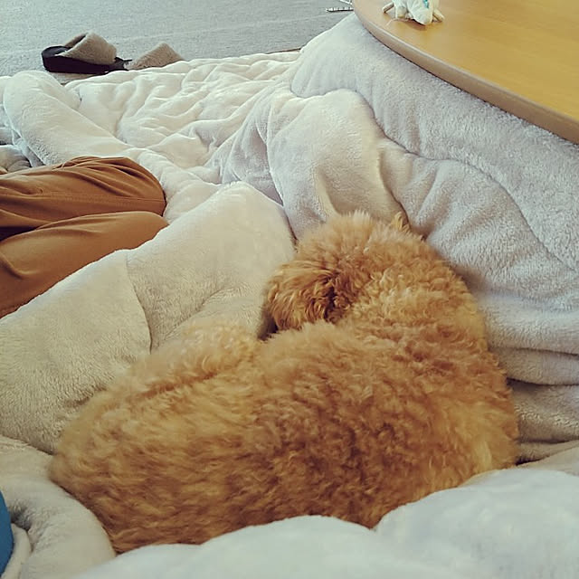 comameさんの実例写真