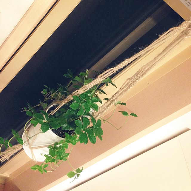 Sachikoさんの実例写真