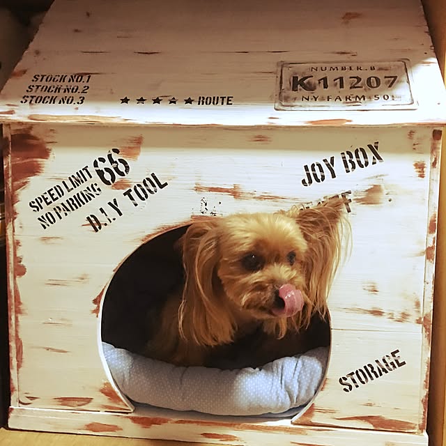 chimiさんの実例写真