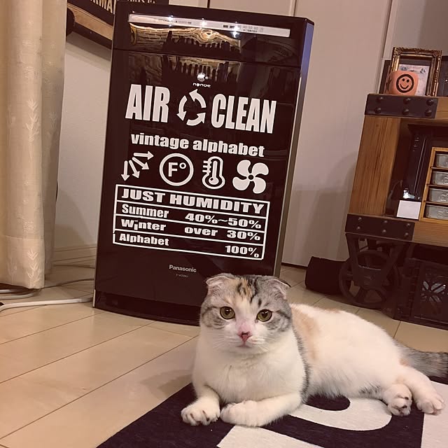yokkochanさんの実例写真