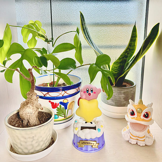 miao-kinさんの実例写真