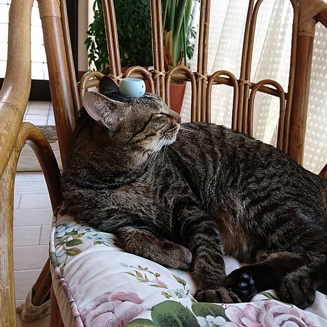 taleo07さんの実例写真