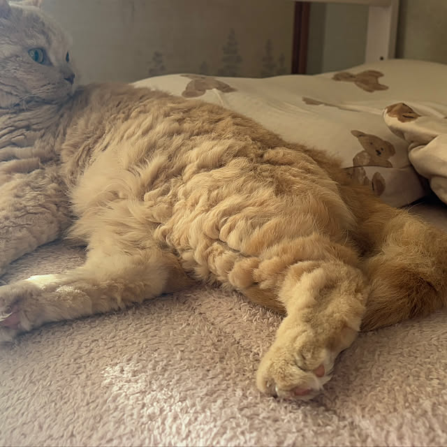 naokoさんの部屋