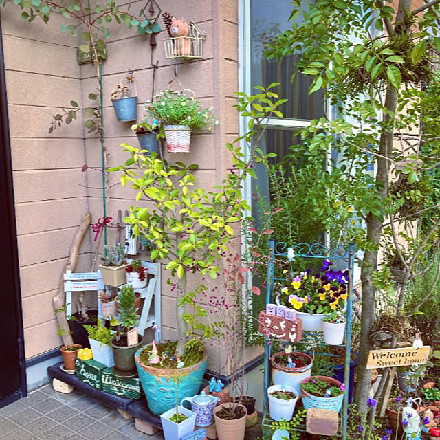 takakoさんの部屋