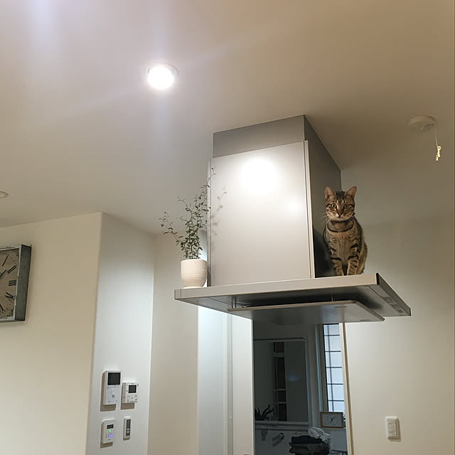 maro.kさんの実例写真