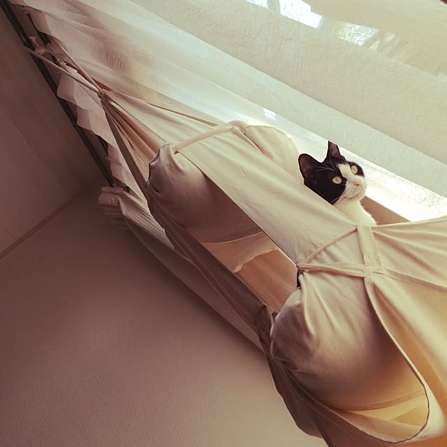 uniさんの実例写真