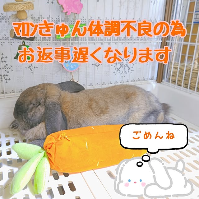 mariaさんの実例写真