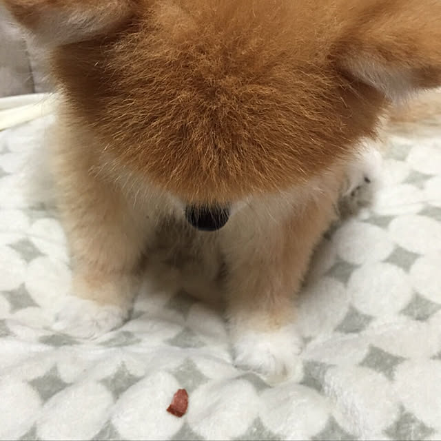 e-aiaiさんの実例写真