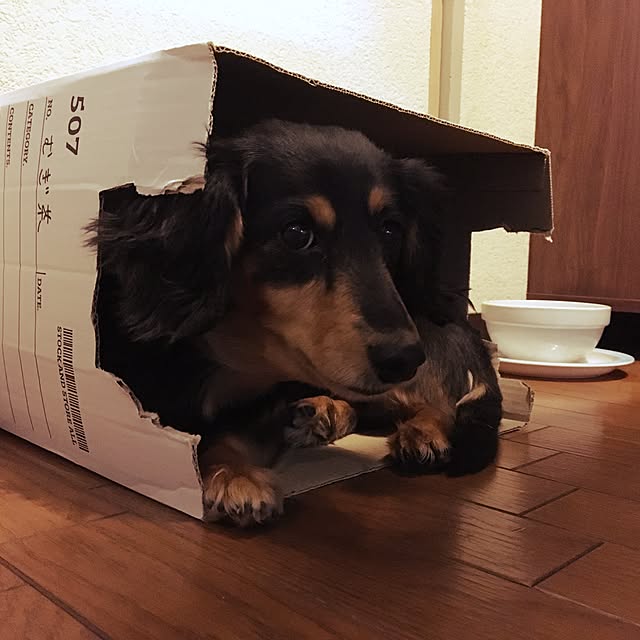 ohanaさんの実例写真