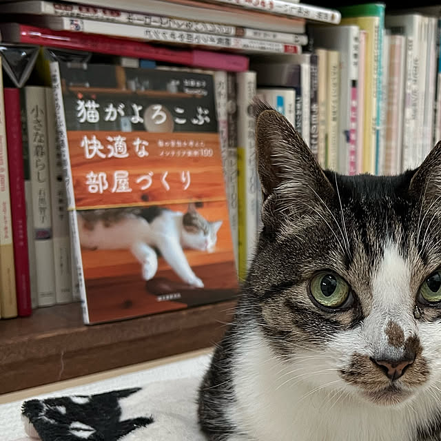 JUENさんの実例写真
