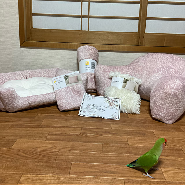 toratanさんの実例写真