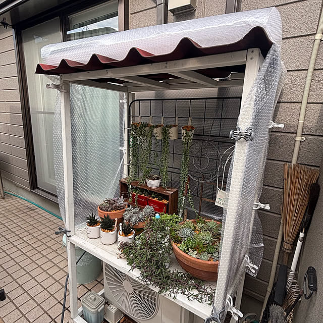 momocchiさんの実例写真