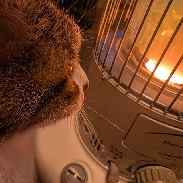 nanaさんの実例写真