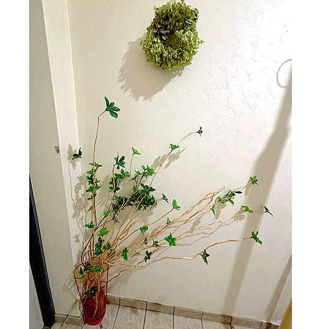syutmmさんの実例写真