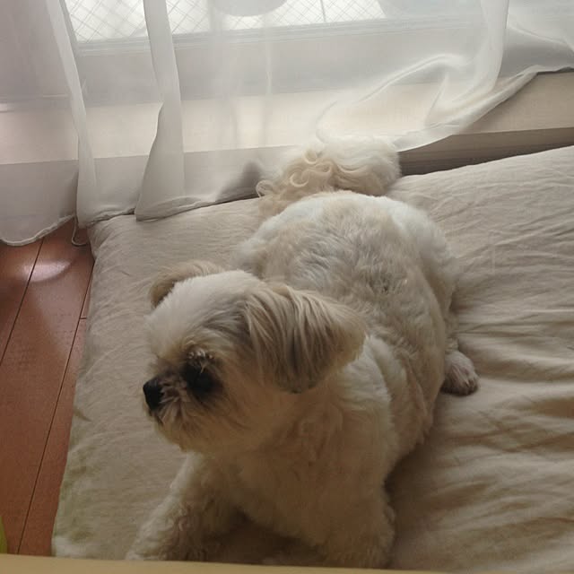 miyakoさんの実例写真