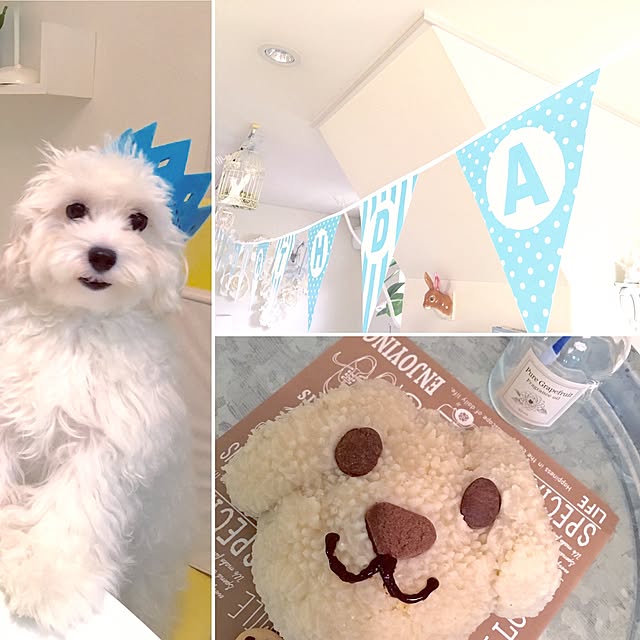 Mopmamaさんの実例写真