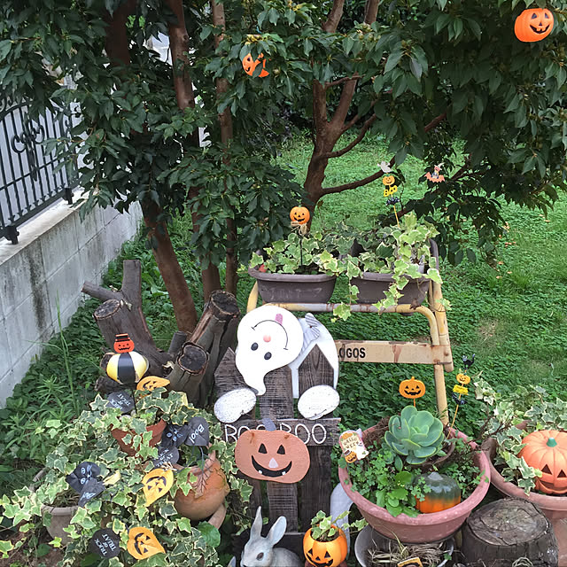 minoriさんの実例写真