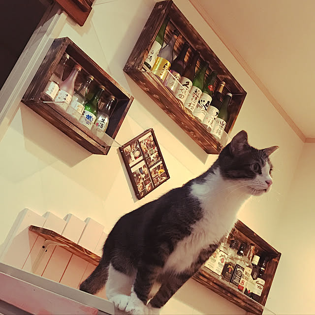 YUCHIさんの実例写真