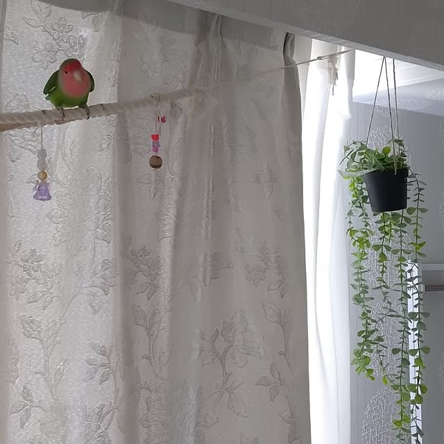 toratanさんの実例写真