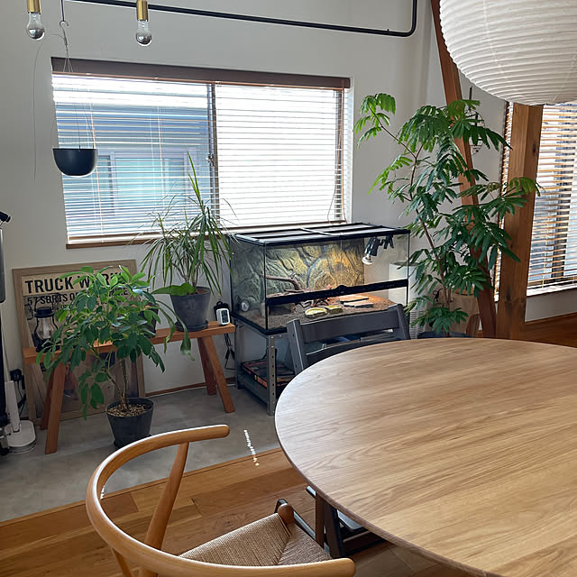 shirokumaさんの部屋
