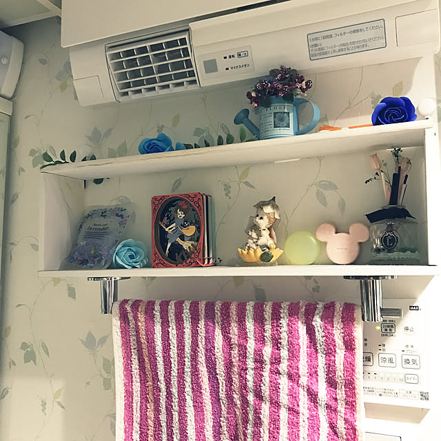 momoさんの実例写真