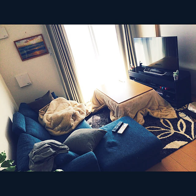 ys55さんの実例写真