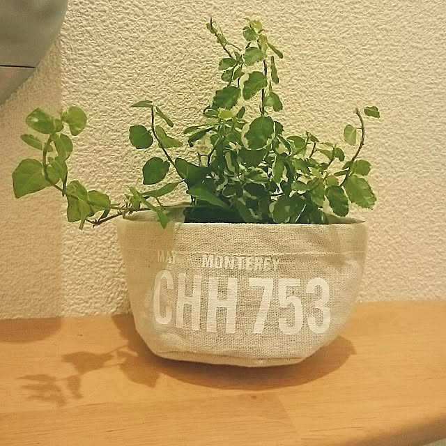 sakuraさんの実例写真