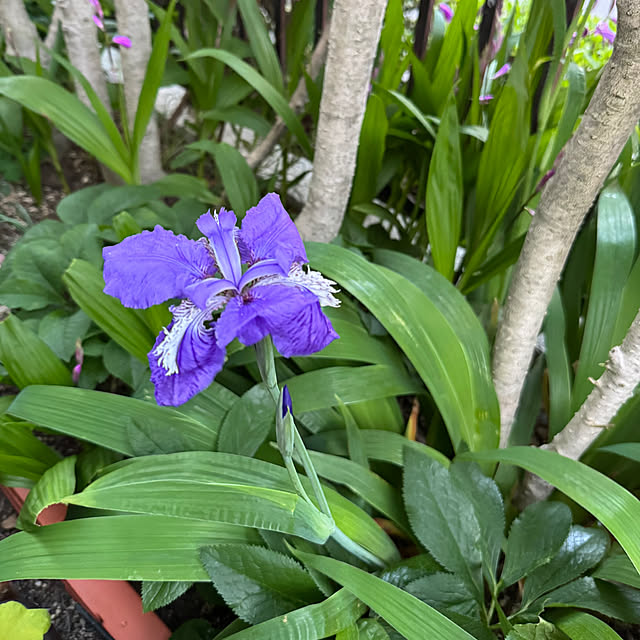 mamizaさんの部屋