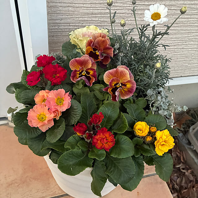 leepo5さんの実例写真