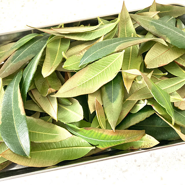 maki_papercraftさんの実例写真