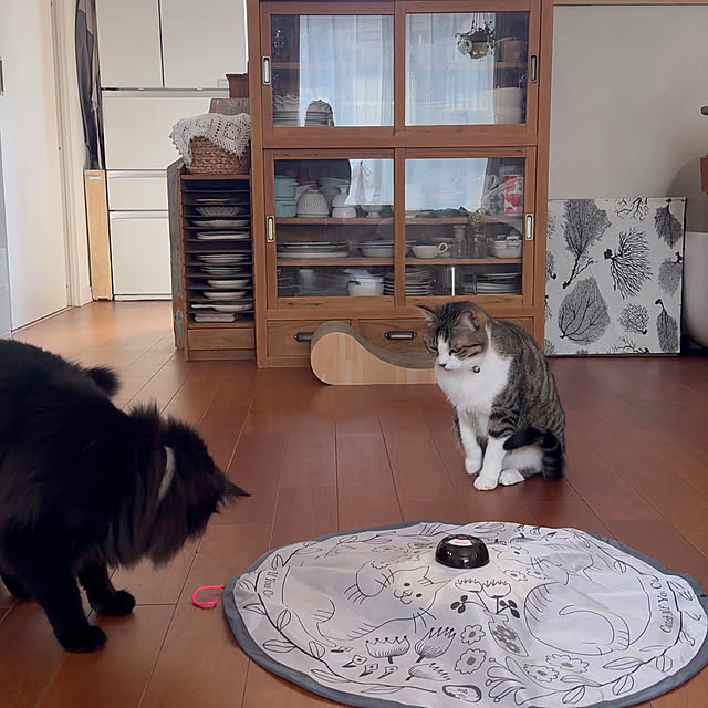 kokkomachaさんの部屋