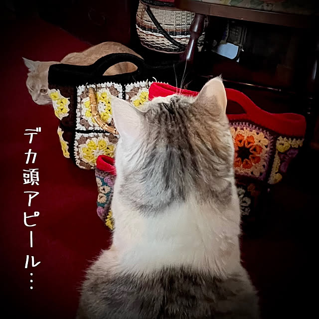 marusanさんの部屋