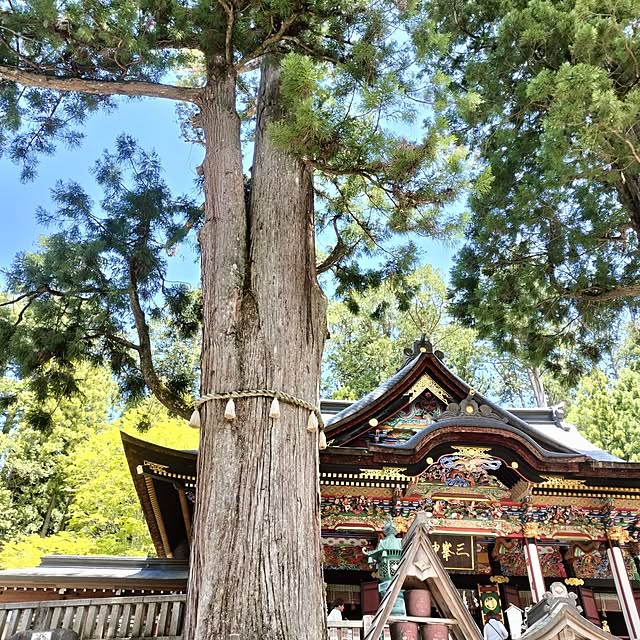 ya_maさんの部屋