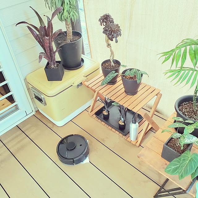 rimoleoさんの実例写真