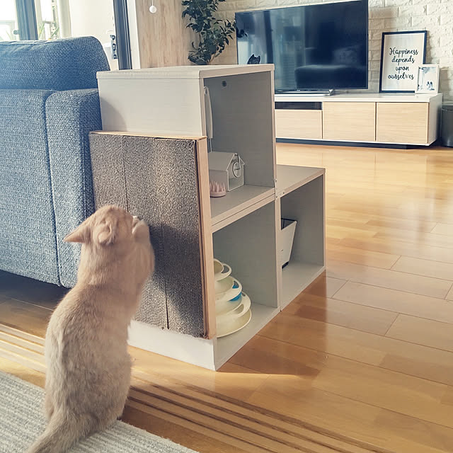 rilakkumamaさんの実例写真