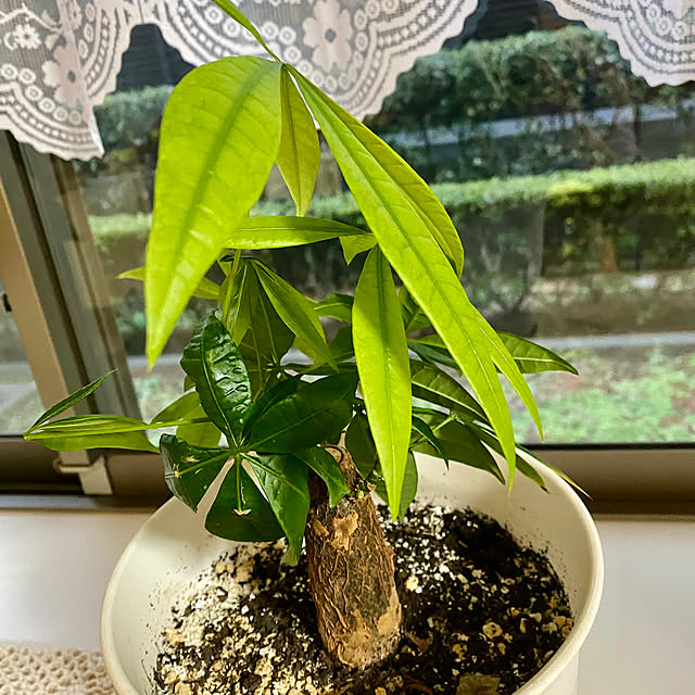 YuuKoさんの部屋