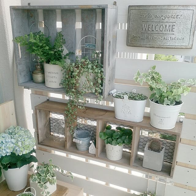miporin0711さんの実例写真