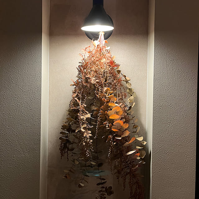 Terryさんの部屋