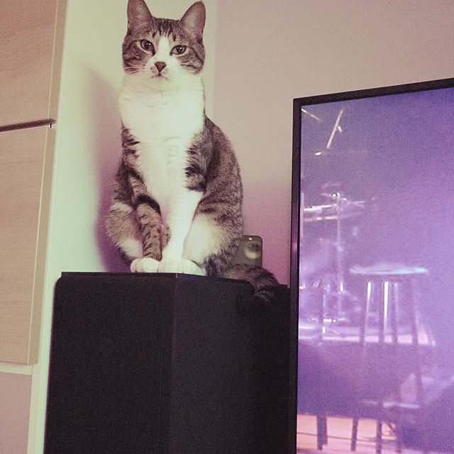hanacocoさんの実例写真