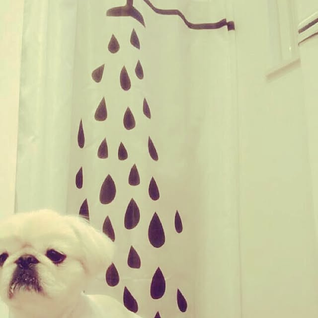yoさんの実例写真