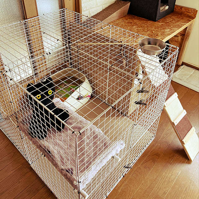 Manamiさんの実例写真