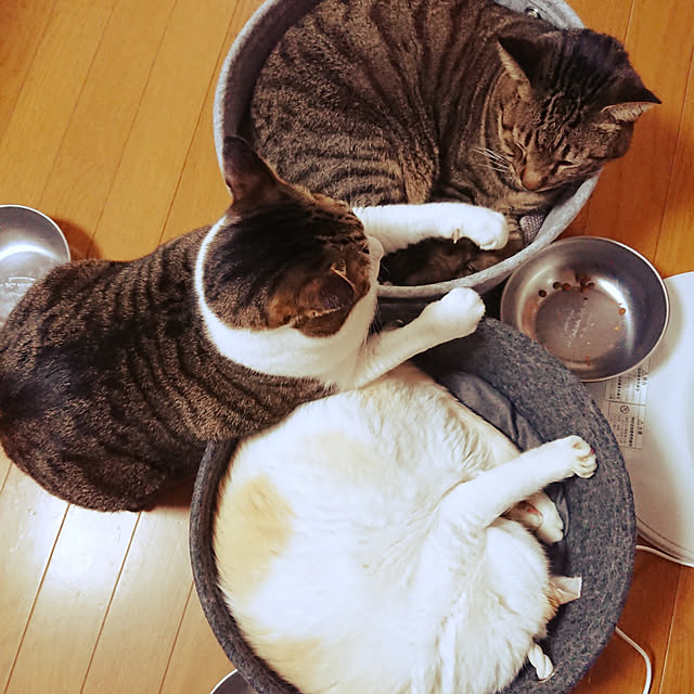 nachiさんの実例写真