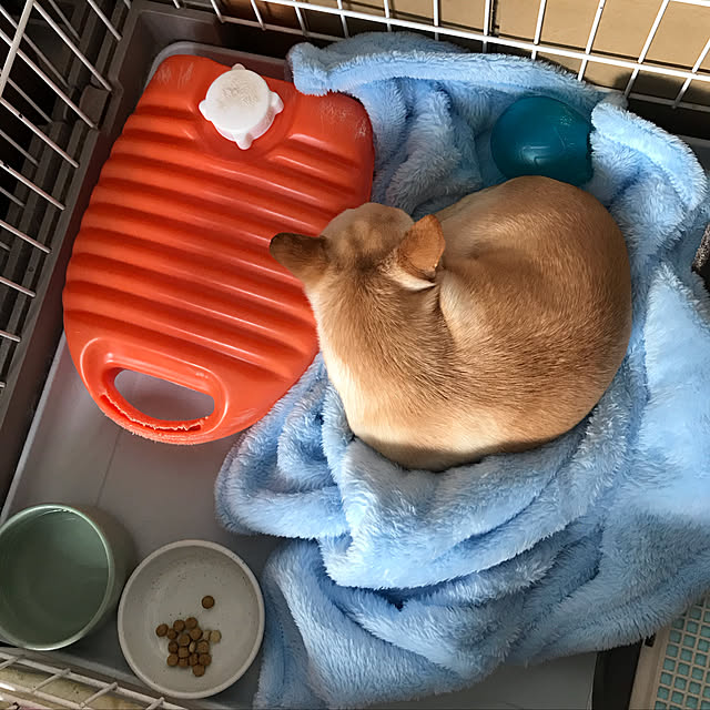 nacchintunnさんの実例写真