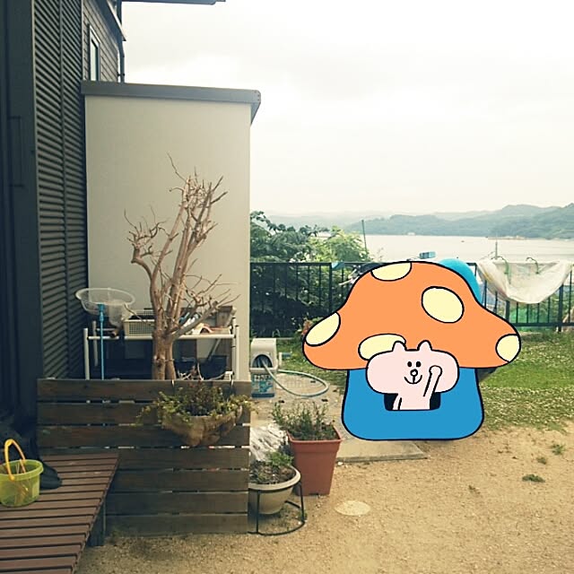 miiさんの実例写真
