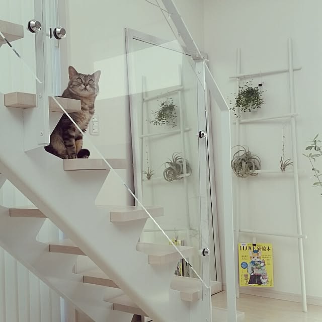 runayucoさんの実例写真