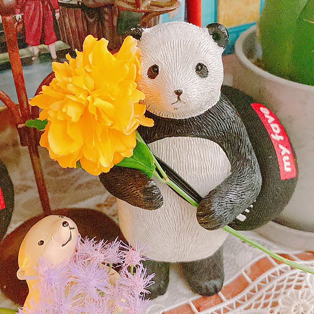 Hanakaさんの部屋