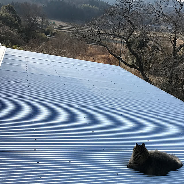 sakurasakuさんの実例写真
