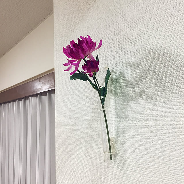 kihadairoさんの実例写真